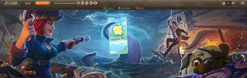 screenshot joycasino interface