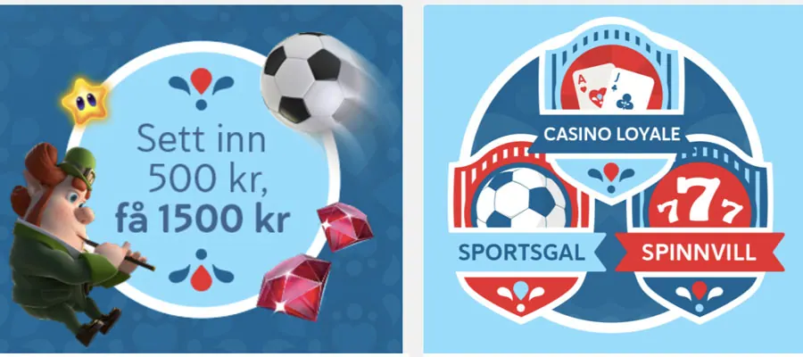 skjermbilde av bonusvilkårene hos Folkeriket, hentet fra nettstedet i 2021