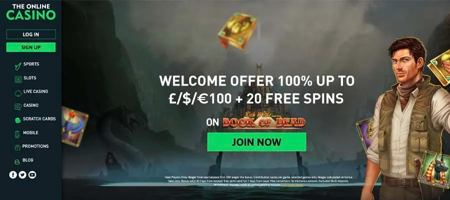 screenshot the online casino interface