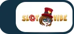 slotvibe logo